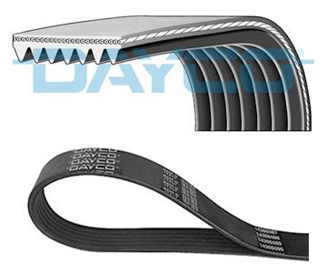 7PK1103 Dayco Correa poly v