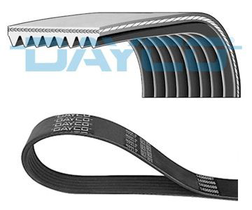 8PK1790HD Dayco Correa poly v