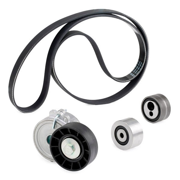 Comprar Correa de transmisión Peugeot Expert  224