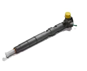 28489562 Delphi Inyector de combustible