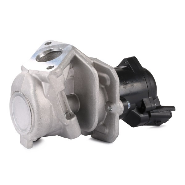 Válvula de regulación de gases Delphi EG1041512B1 precio, desde 98,27 EUR