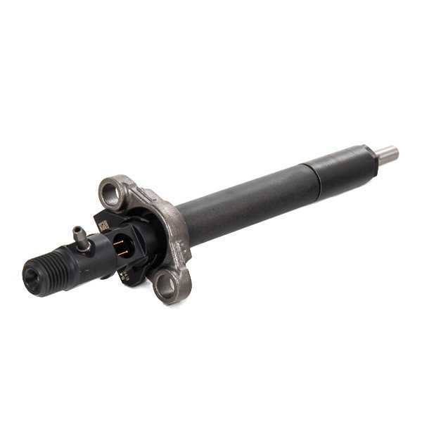 Inyectores Delphi R06001D precio, desde 130,68 EUR
