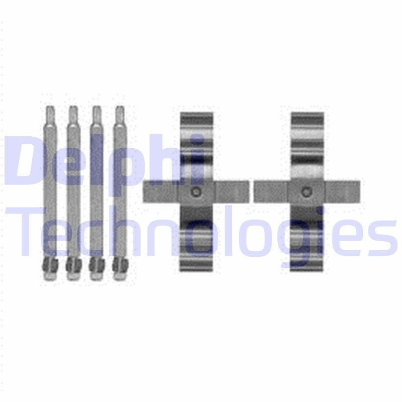 Inyector R06001D Delphi