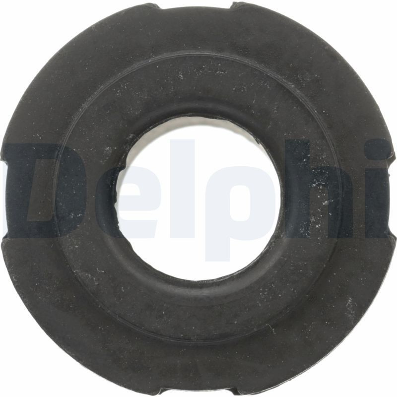 Comprar TD4614W Delphi Buje de la bisagra del resorte de láminas