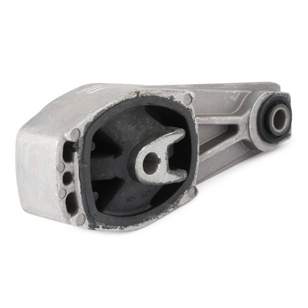 TEM081 Delphi Taco de motor