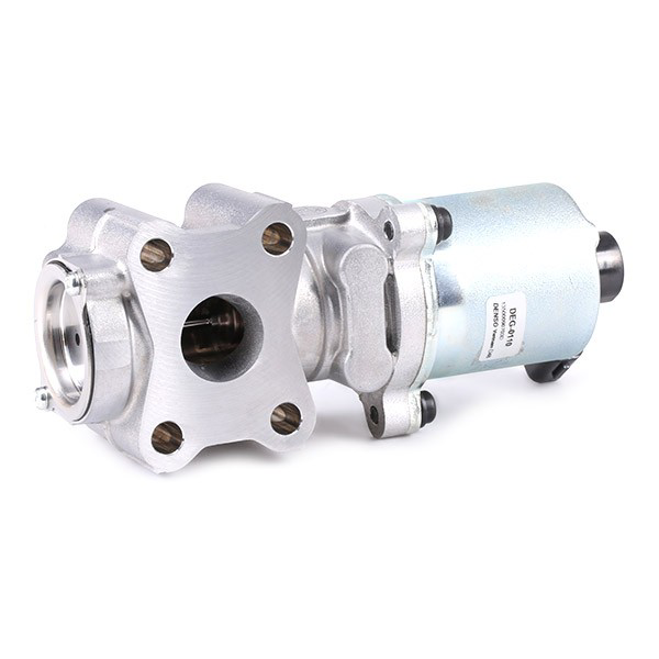 EGR Denso DEG0110