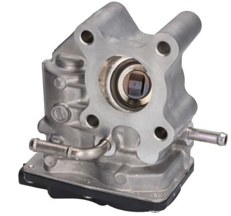 DEG0122 Denso Válvula EGR