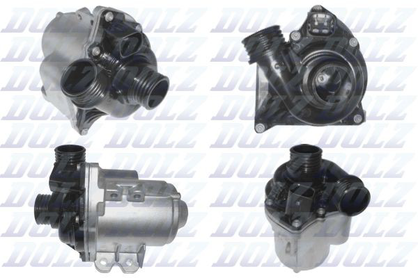 B241 Dolz