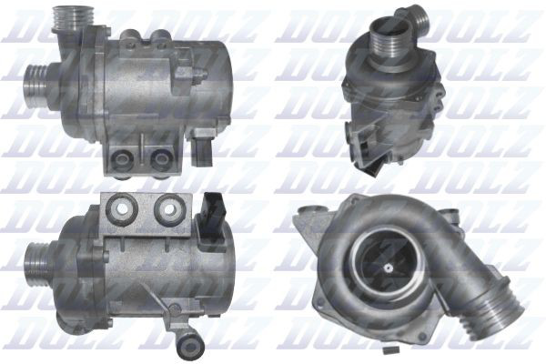 B245 Dolz