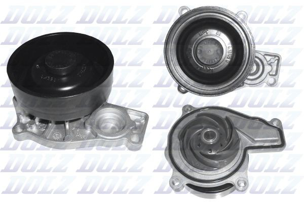 B254 Dolz
