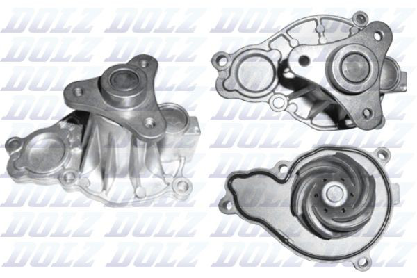 B256 Dolz