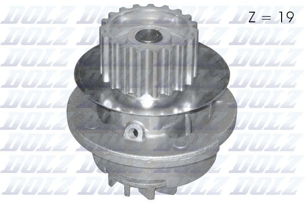 D213 Dolz