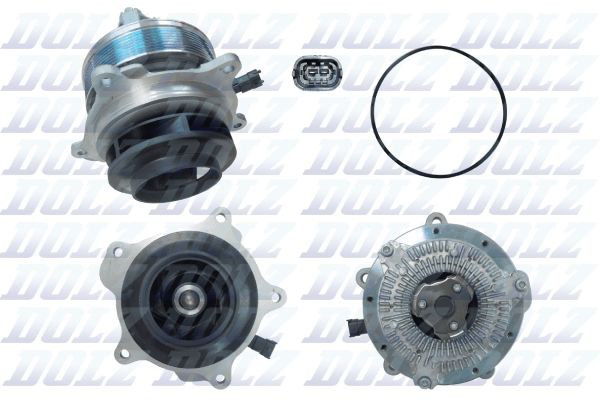 D324 Dolz