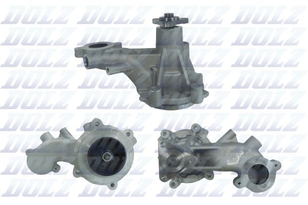 F251 Dolz