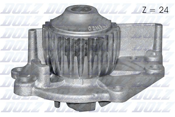 M142 Dolz