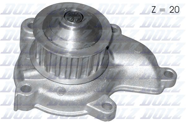 N118 Dolz