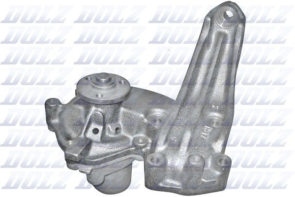 S172 Dolz