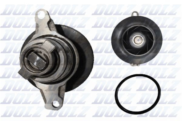 S295 Dolz