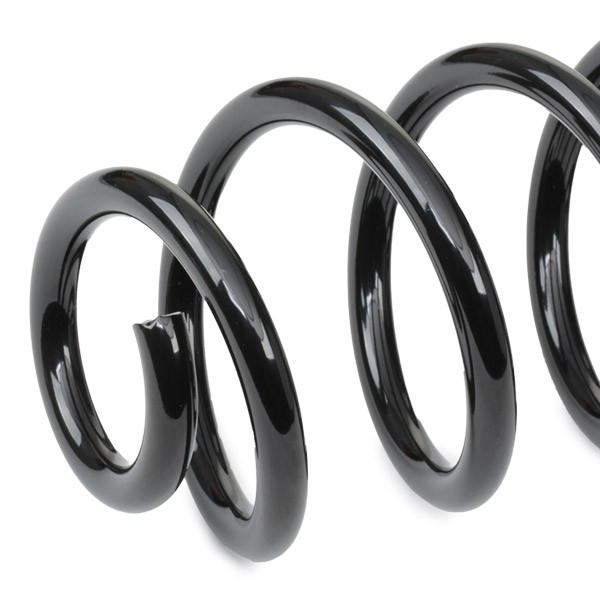Muelle de suspensión trasero Eibach R10122 precio, desde 32,64 EUR
