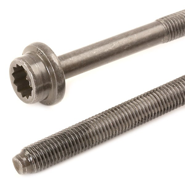 Tornillo de culata Elring 061330