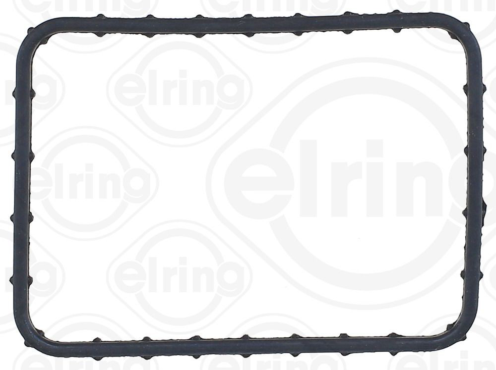  Elring 569421