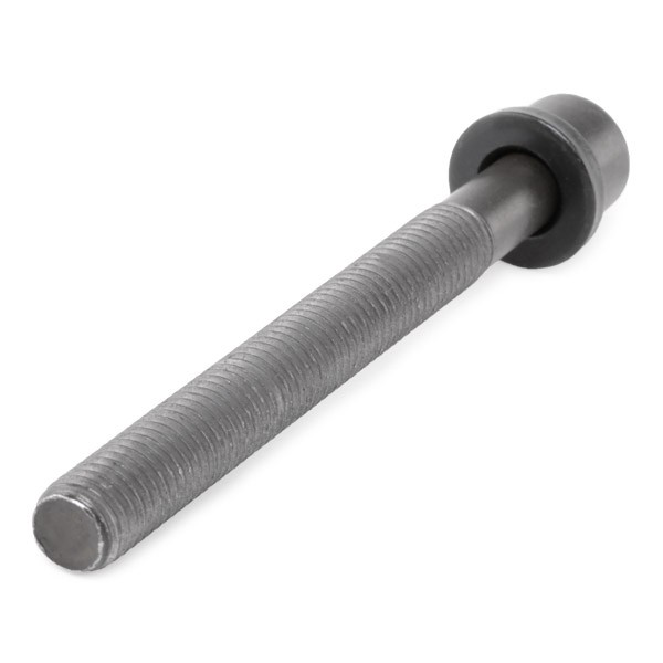 Tornillo de culata Elring 819891