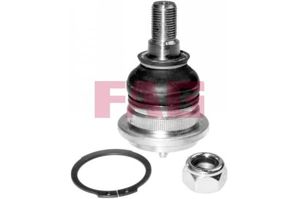 Rótula inferior de suspensión Hyundai H100 bus (P) (1993 - 2004) precio, desde 15,90 EUR