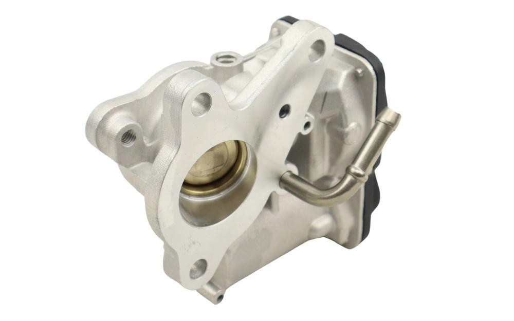 Comprar Válvula EGR Nissan Navara NP300 IV D23, D23T