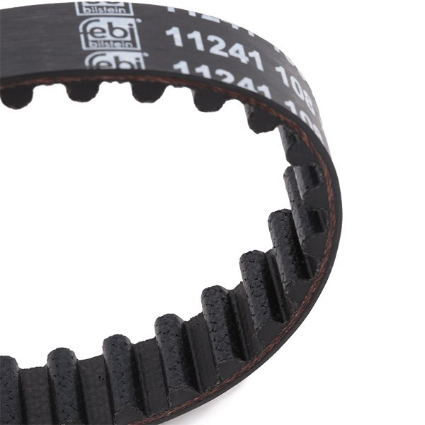 11241 Febi Correa dentada