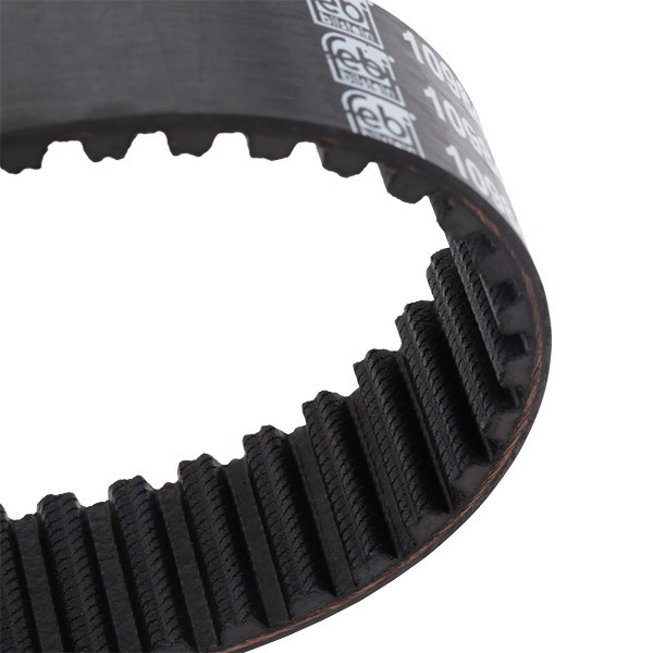 12652 Febi Correa dentada
