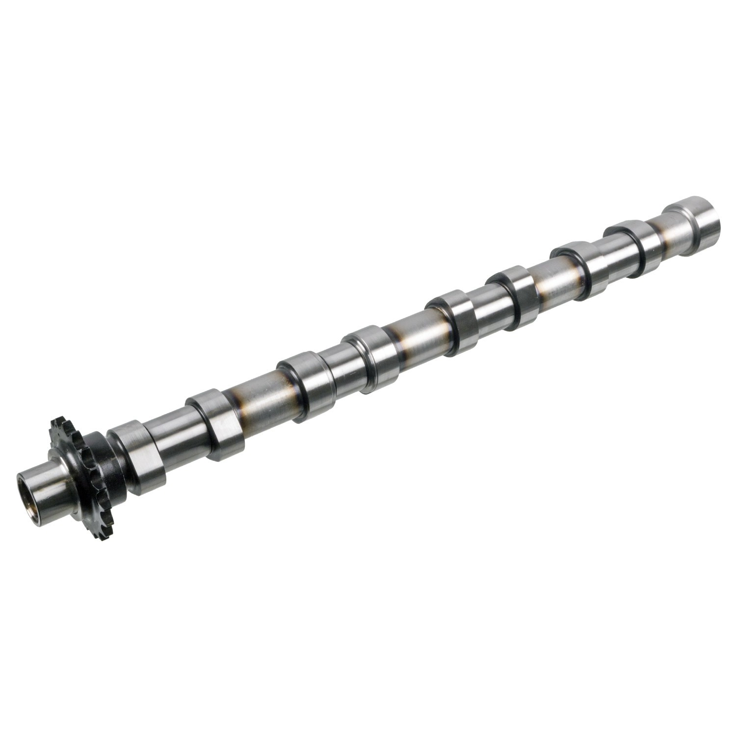 Comprar Árbol de levas de entrada Ford Kuga II CBS