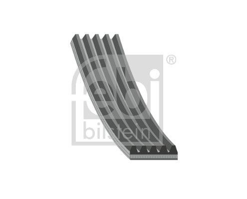 28855 Febi Correa poly v