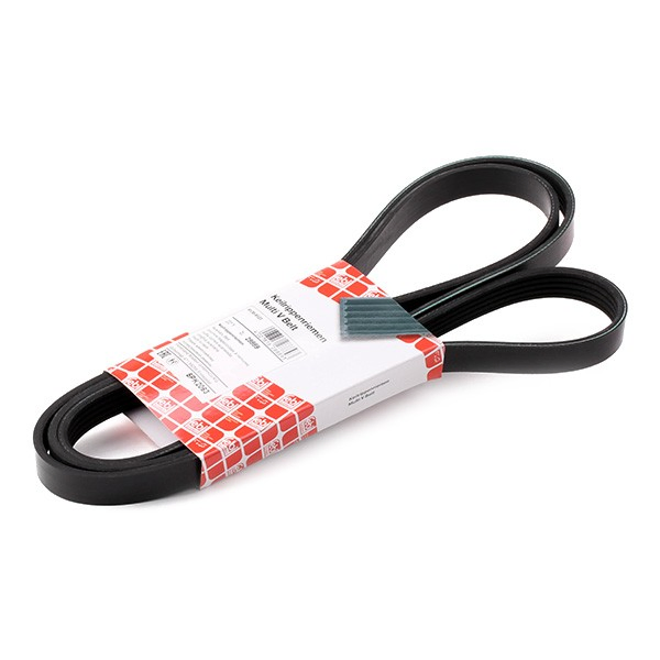 28889 Febi Correa poly v