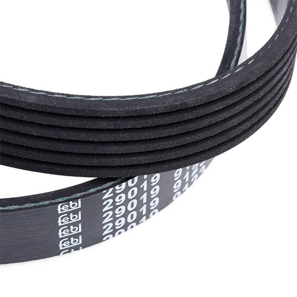 Correa de alternador 29019 Febi