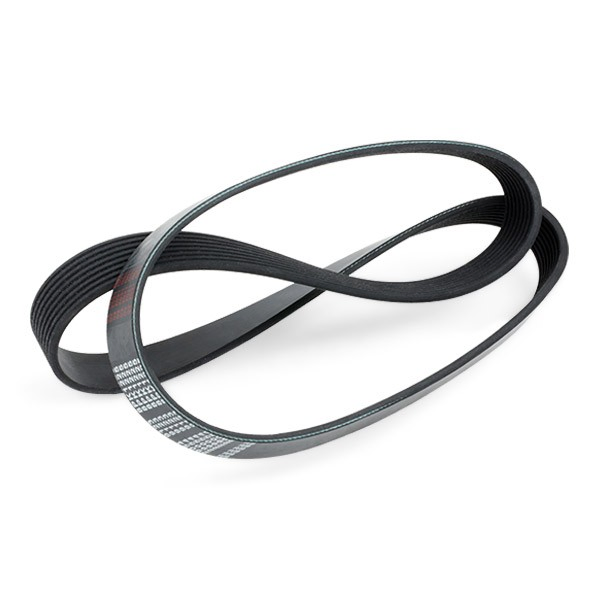 Comprar 29054 Febi Correa trapezoidal