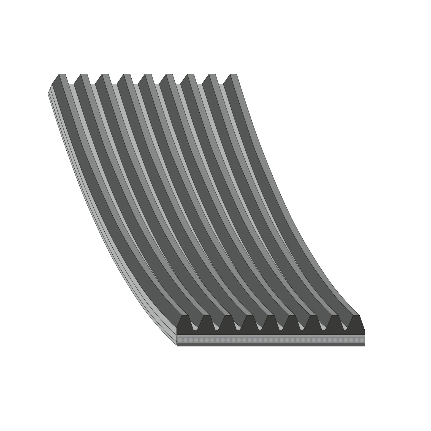  Correa de alternador DAF 105 