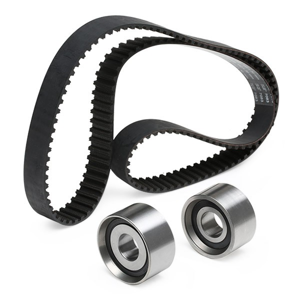 Comprar Kit de distribución Renault Trucks Mascott  HH