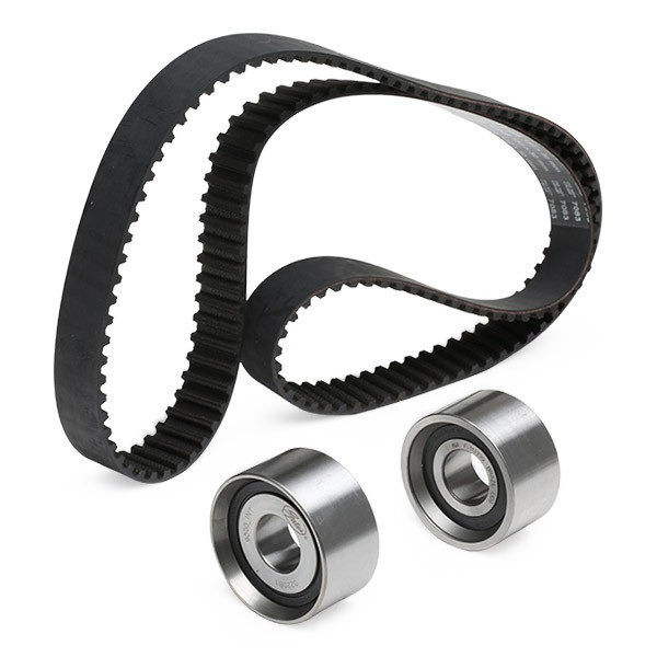 Juego de correas dentadas Renault Trucks Mascott camión plataforma/chasis (HH) (1999 - 2010) precio, desde 117,70 EUR