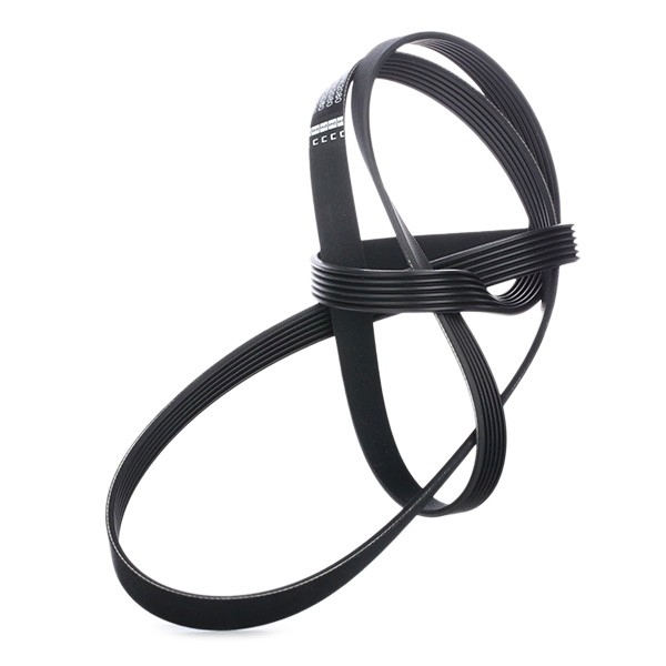 Correa de transmisión trapezoidal Ford Escape SUV (2001 - 2007) precio, desde 20,55 EUR