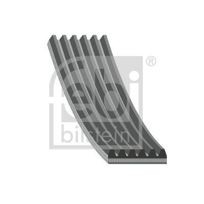 37539 Febi Correa poly v