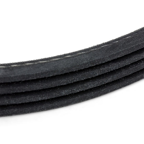 Correa de alternador 39781 Febi