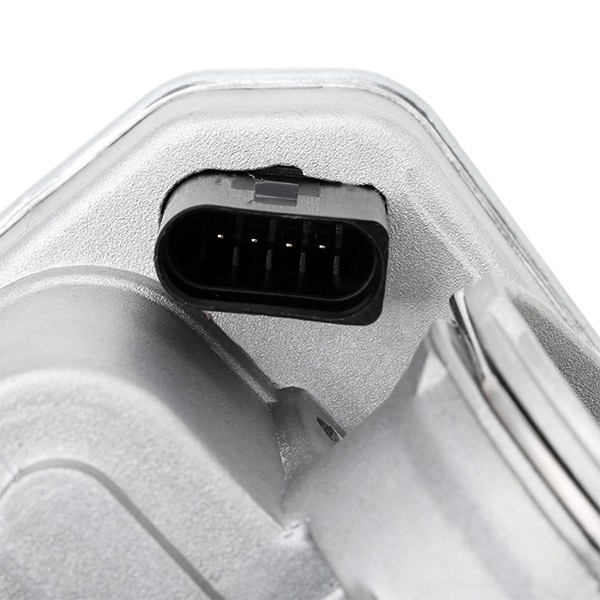 Caja de mariposa Febi 44945