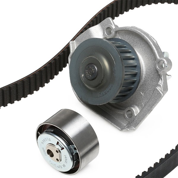 Kit de distribución 8550500846 Renault (RVI)