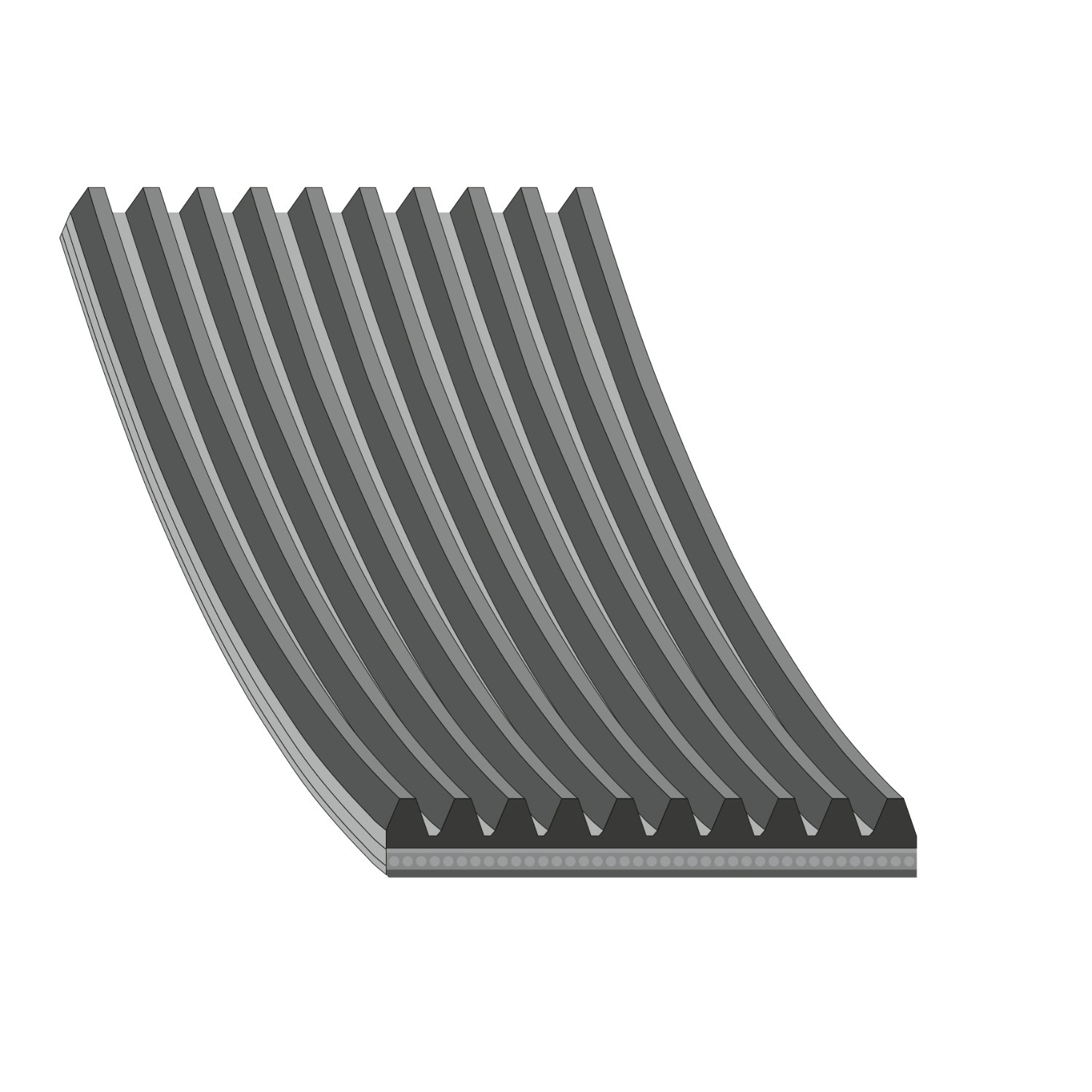 10PK1635 Continental/Siemens Correa poly v