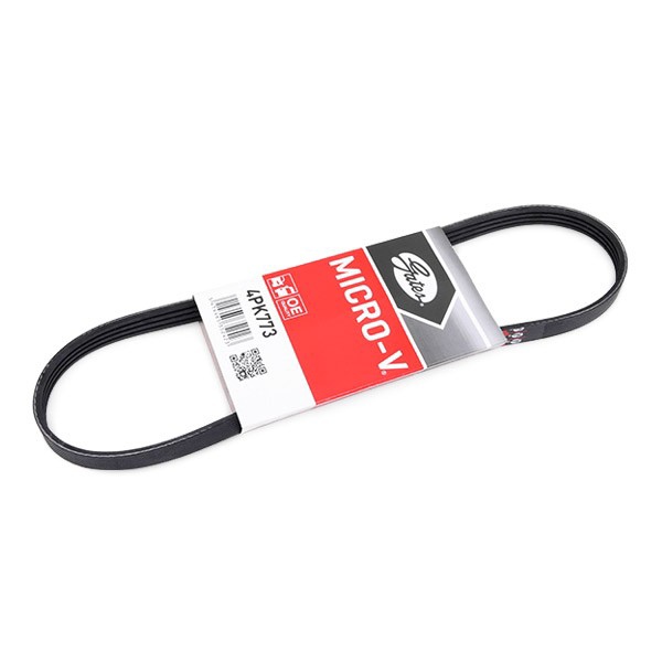  Correa de alternador Nissan Murano 