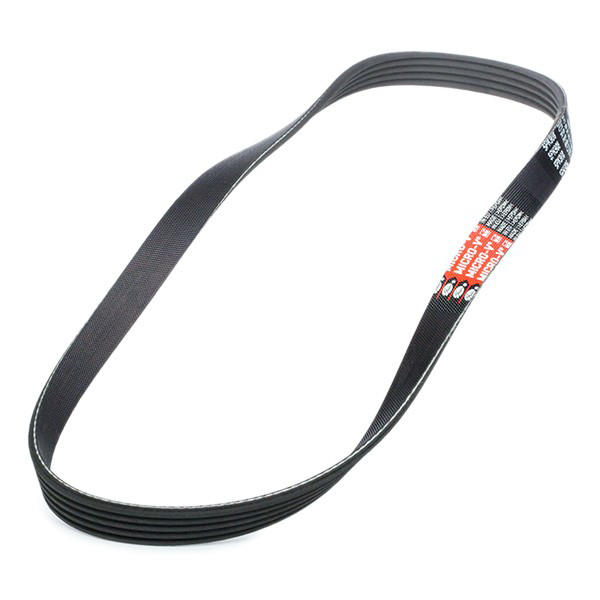 Comprar 3039376 Cummins Correa trapezoidal
