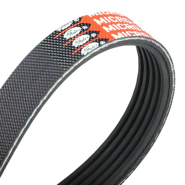Correa de alternador 3039376 Cummins
