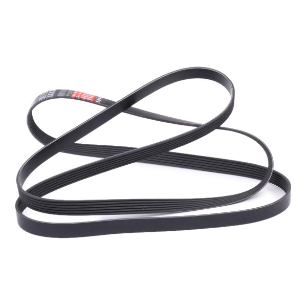 Correa accesorios Ford XF2Z8620A