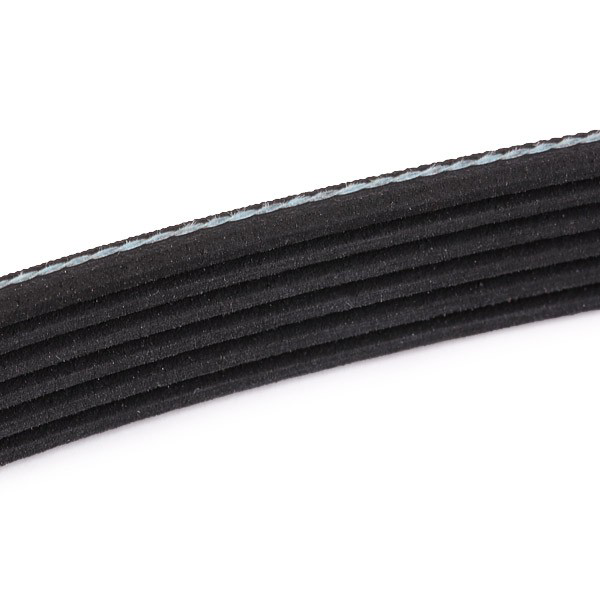Correa de transmisión, juego Ford Fiesta Mk3 hatchback (GFJ) (1989 - 1995) precio, desde 34,67 EUR