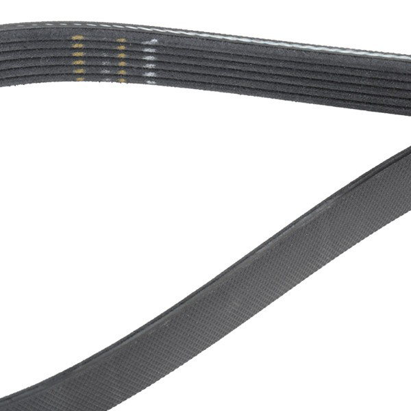 Comprar K016PK1198 Gates Correa de transmisión